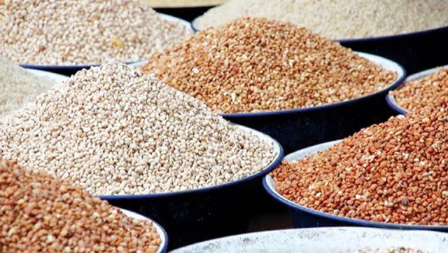 Ghana to gain GHȼ800 Million yearly from new cowpea & rice varieties ...